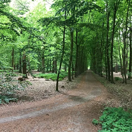 B&B 'het Gripshuis' 부흐트