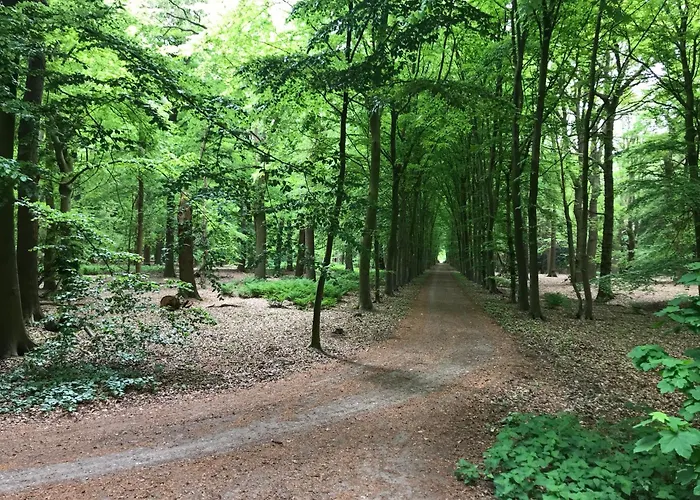 Couette-café 'het Gripshuis' Vught