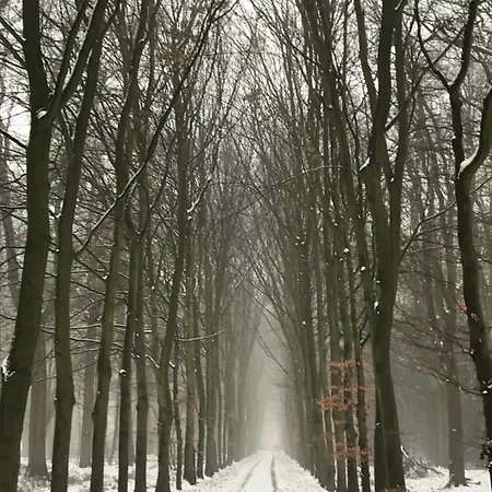 'het Gripshuis' 3* Vught