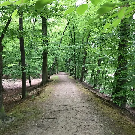 'het Gripshuis' Frühstückspension 3*