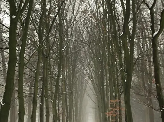 'het Gripshuis' 3* Vught